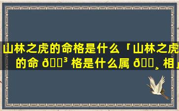 山林之虎的命格是什么「山林之虎的命 🐳 格是什么属 🌸 相」
